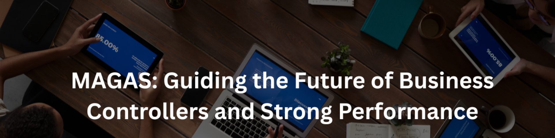 MAGAS: Guiding the Future of Business Controllers and Strong Performance