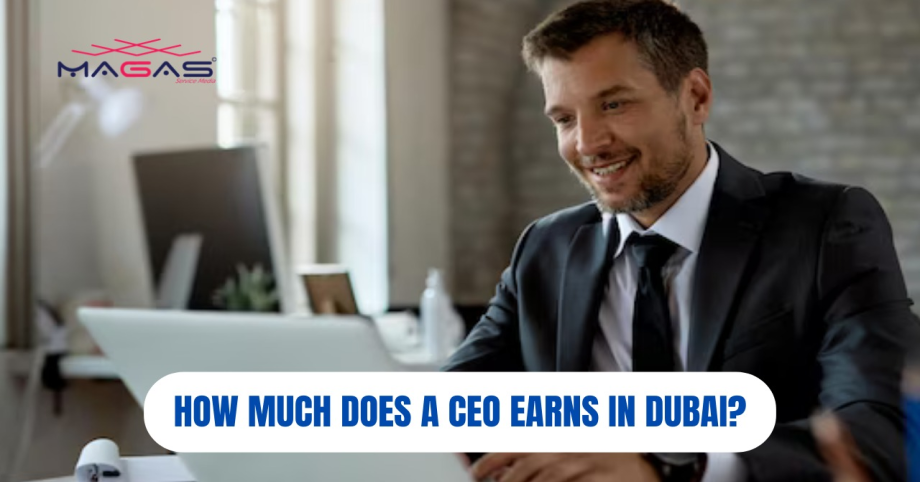 How much does a CEO earns in Dubai?
