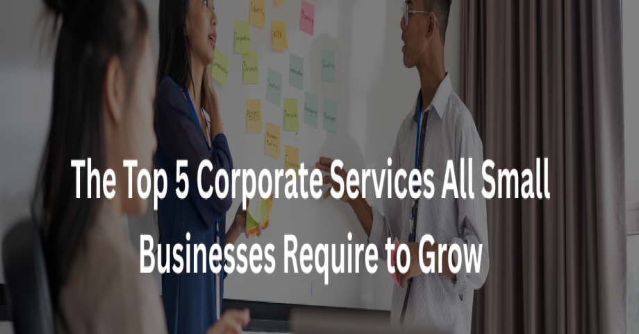 The Top 5 Corporate Services All Small Businesses Require to Grow