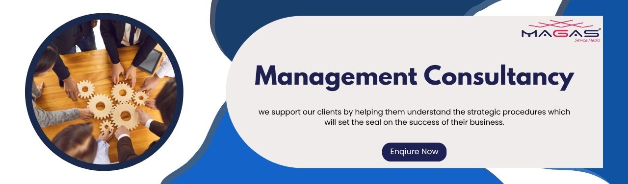 Management Consultancy