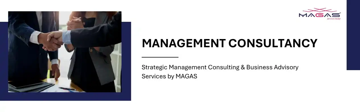 Management Consultancy