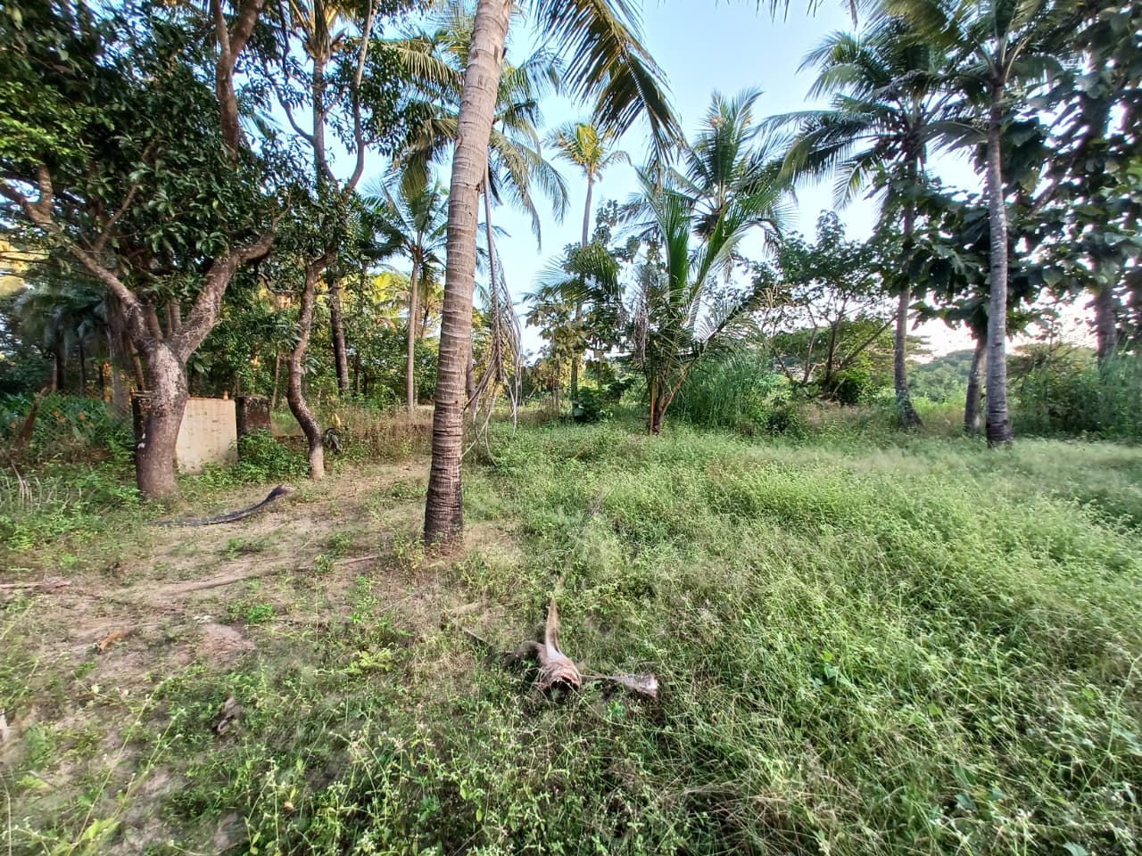 Beautiful Vintage Portuguese House for Sale in South Goa